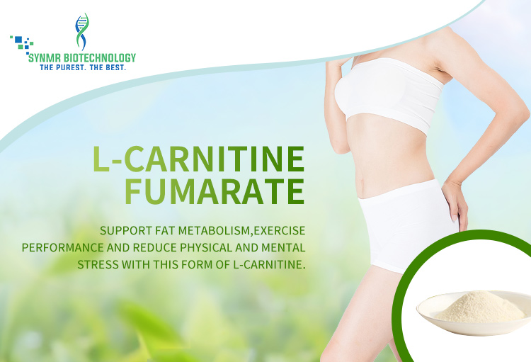 L-Carnitine Fumarate